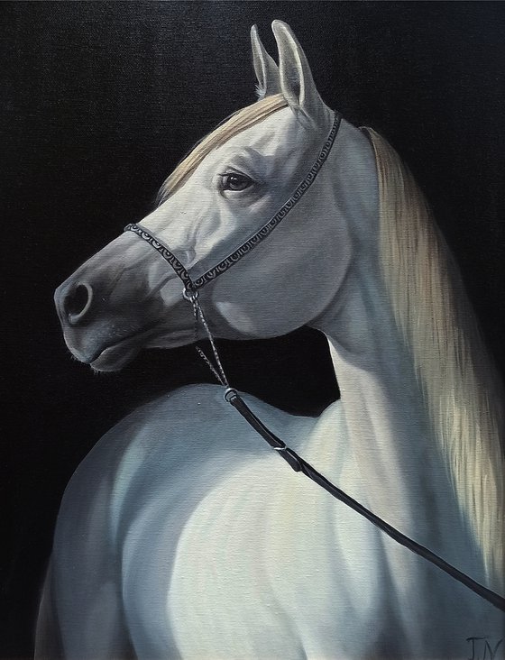 White horse (40x50cm, oil painting, ready to hang)