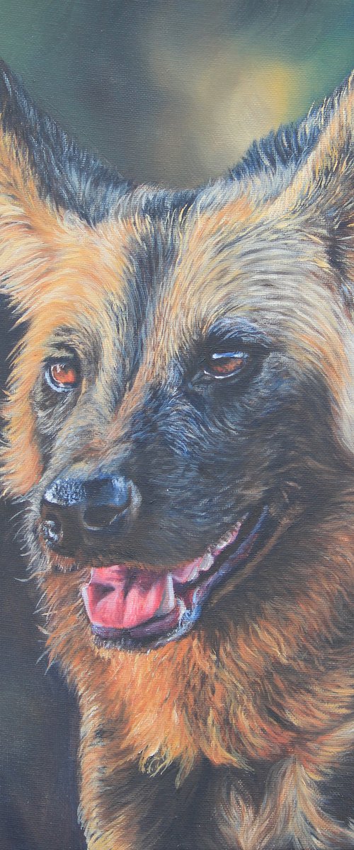 The painted dog by Kristina Waddingham