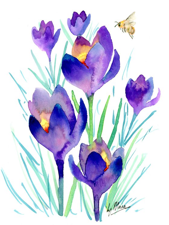 Crocus and Honey Bee