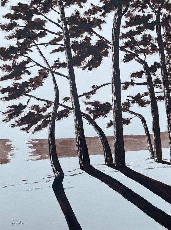 Cap Coz Beach - Burnt Umber ink