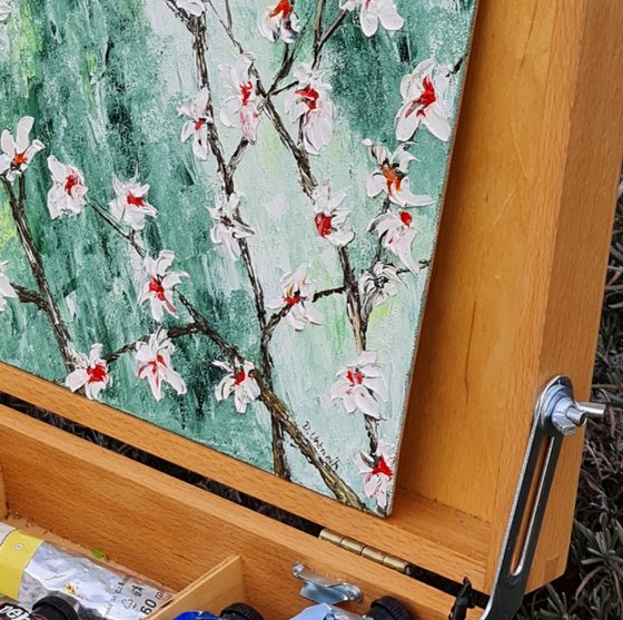 Cherries in bloom 1