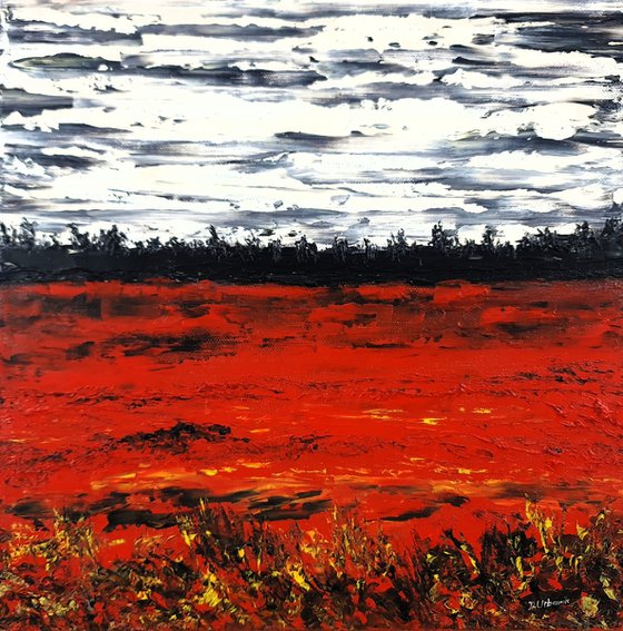 Meadow after rain 1