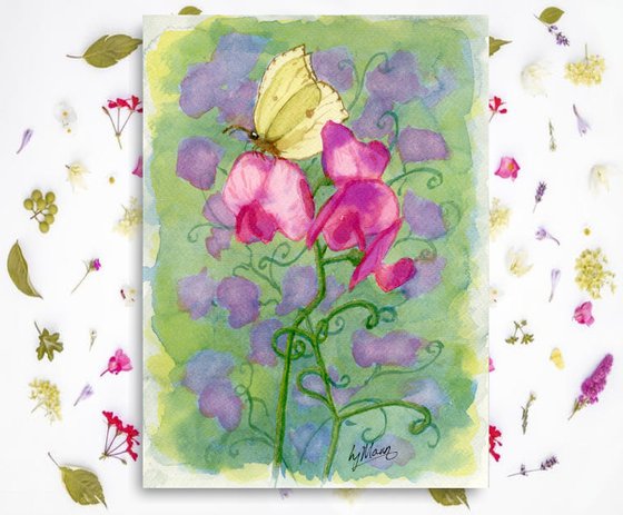 Sweet Peas and Butterfly