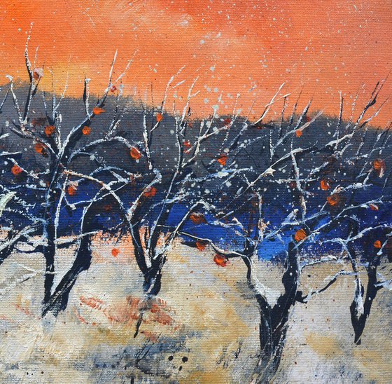 apple trees in winter