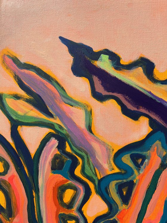 Alocasia Study