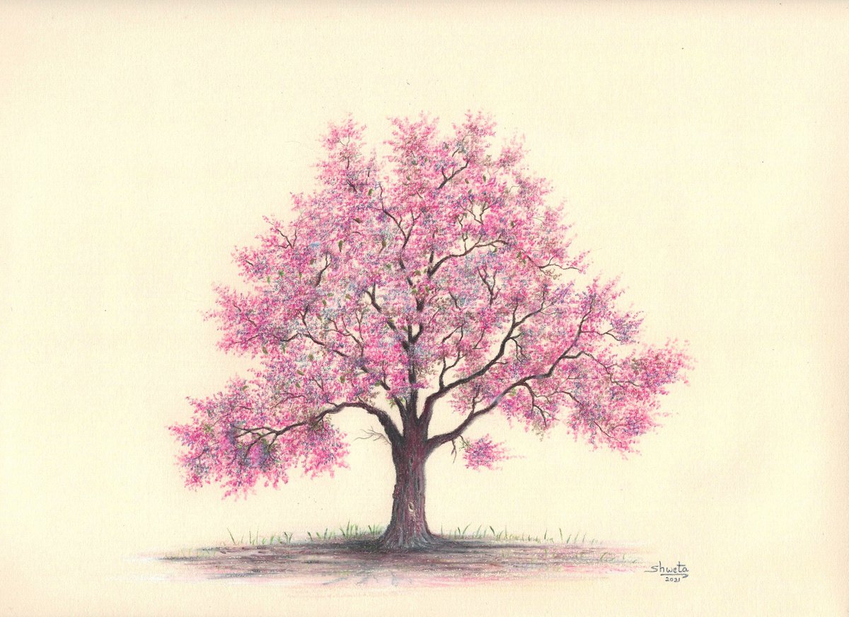 Crabapple Tree Colored Pencil Drawing by Shweta Mahajan