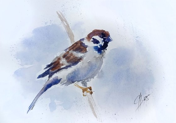 Sparrow I