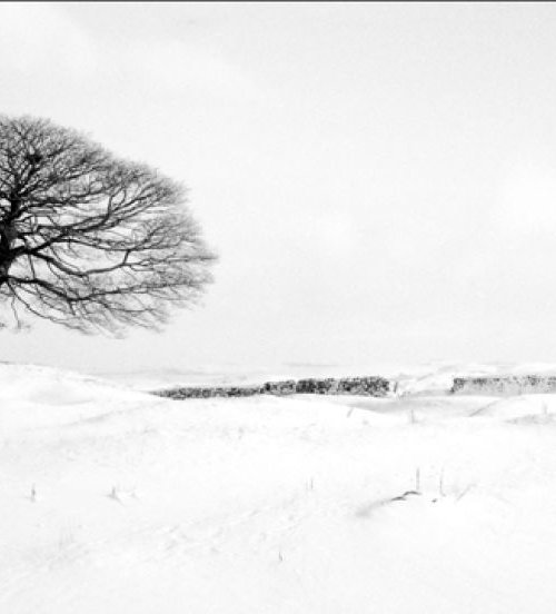 A winter tree - Peak District by Stephen Hodgetts Photography