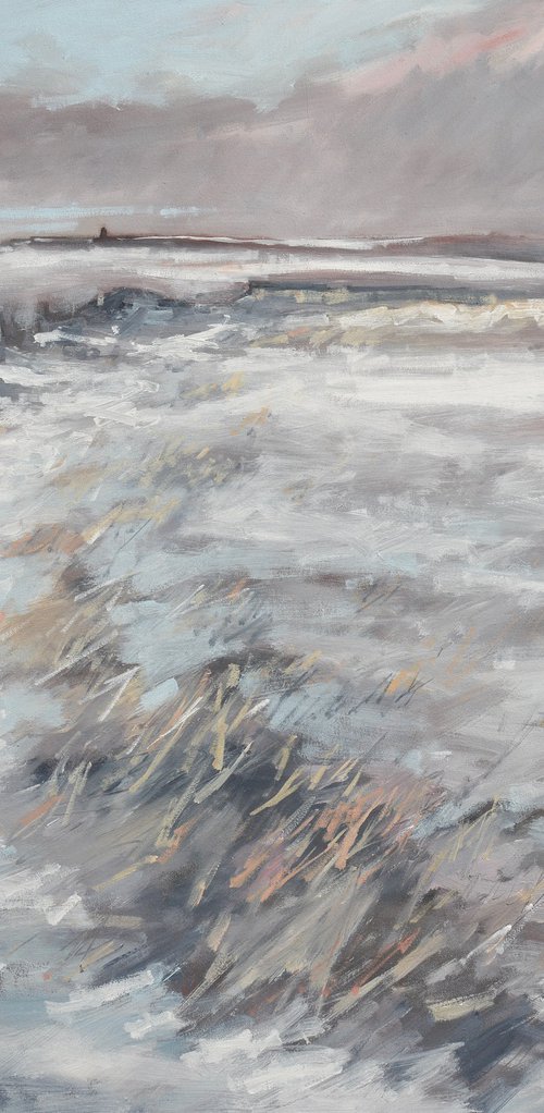 Winter Moor by Tom Cringle