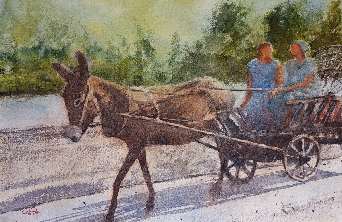 Scena d’epoca / vintage scene - carro trainato da un mulo / cart pulled by a mule by Tollo Pozzi