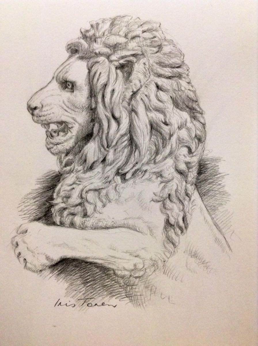 Lion by Iris Toren