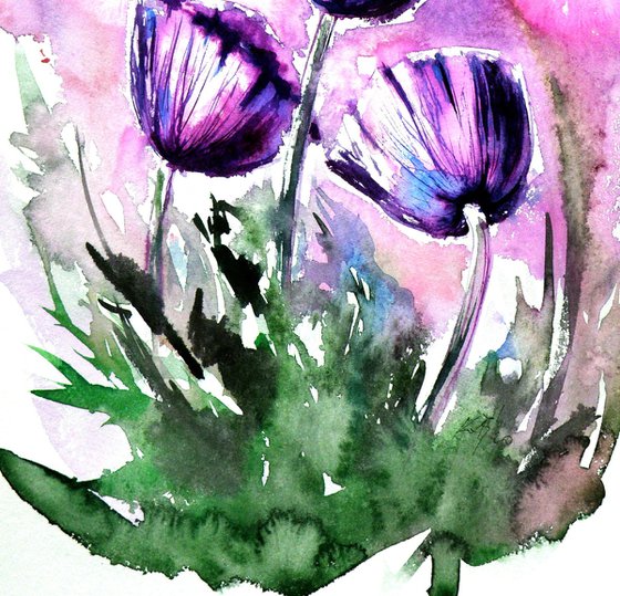 Purple poppies