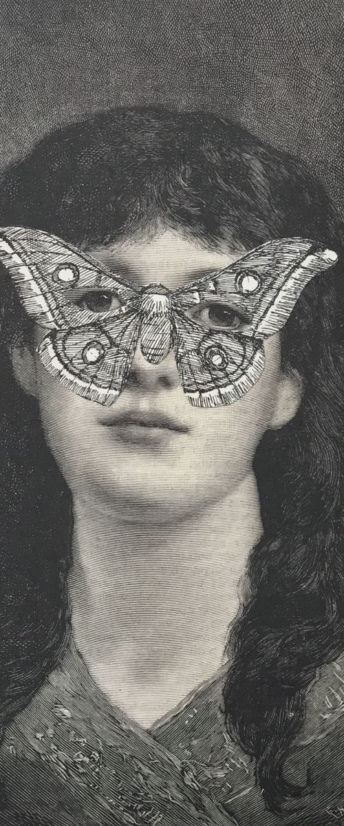Butterfly - Night by Tudor Evans