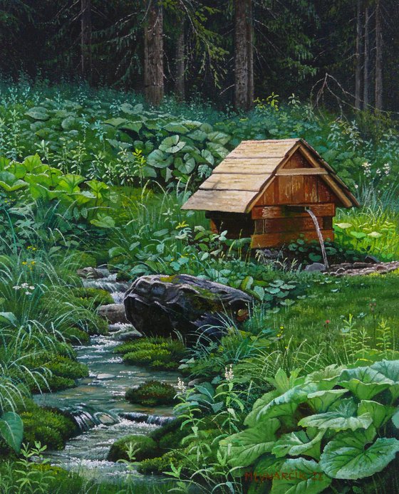 Forest well