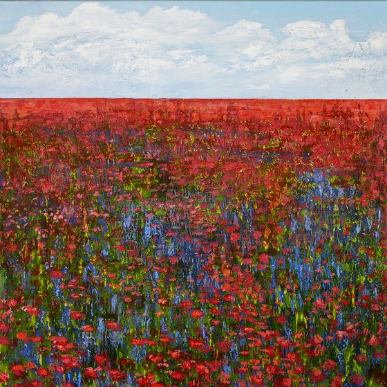 Poppy field with cornflowers.