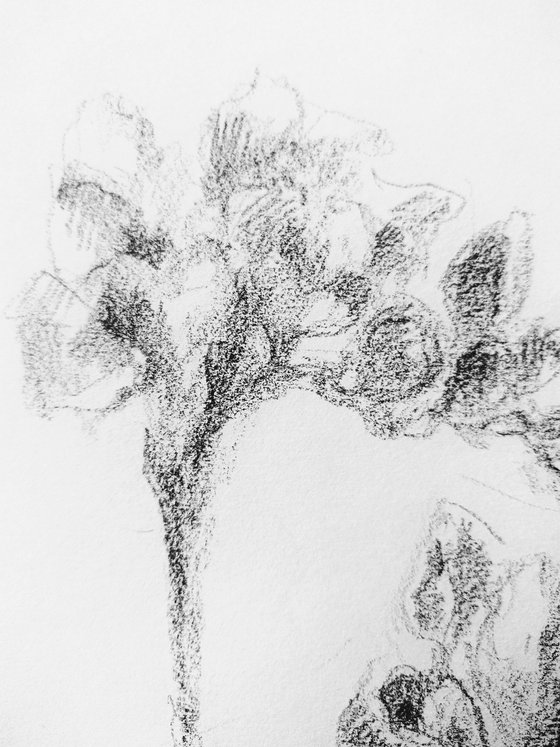 Freesias #2. Original pencil drawing.