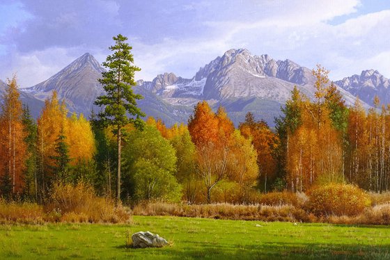 Autumn contrasts