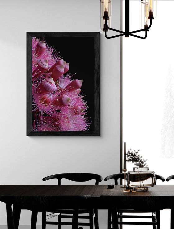 Summer Beauty Flowers