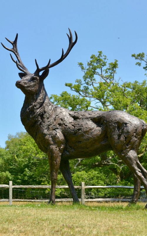 Standing Red Deer Stag - Bronze Resin by Tanya Russell