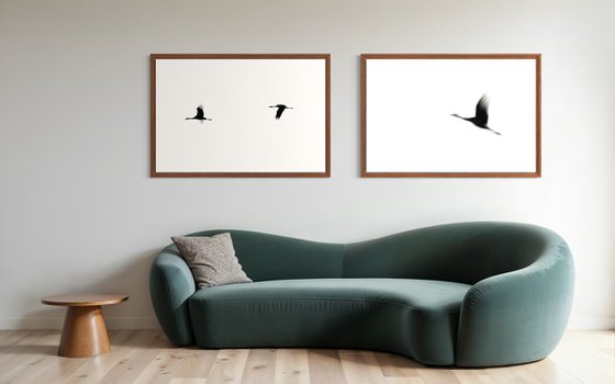 Crane(s) I