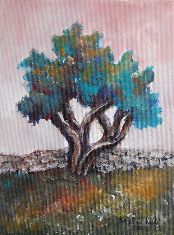 Olive tree