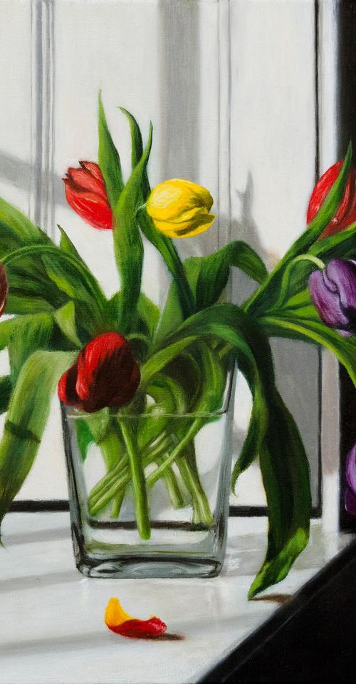 Red, Yellow and Purple Tulips (II) by Andrew McNeile Jones