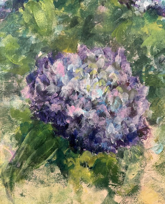 Abstract hydrangeas