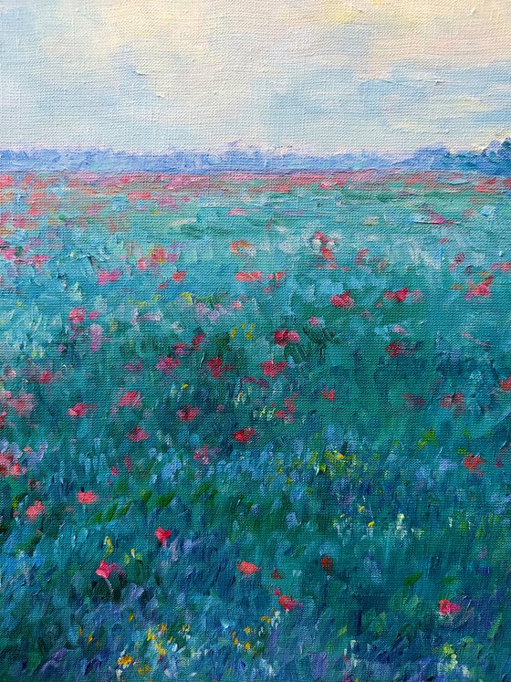 Evening field with poppies