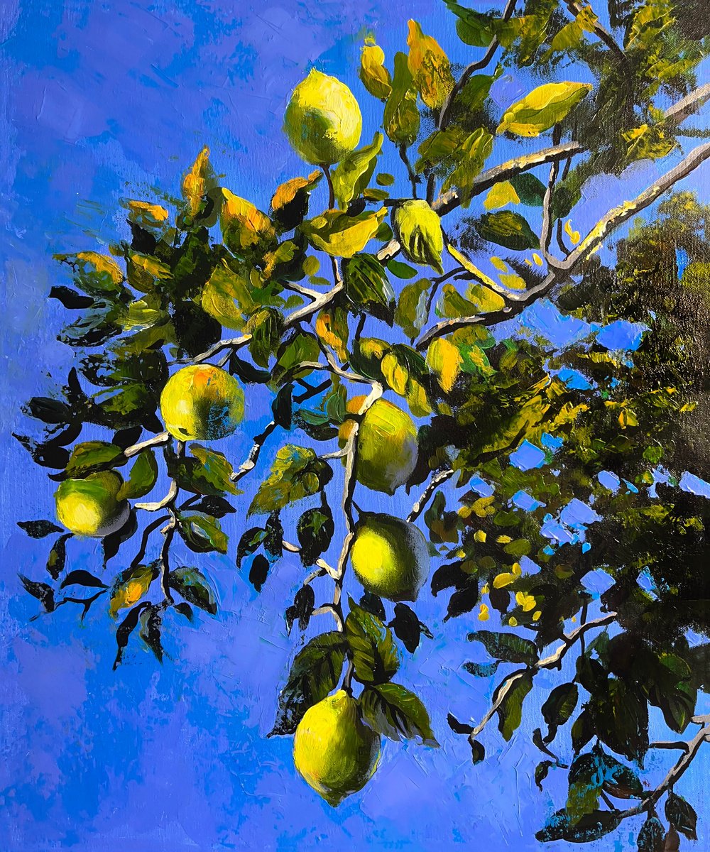 Lemons In The Sky By Maria Kireev, 20 X 24, Artwork For Sale On Artfinder