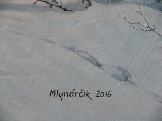 Winter in the spruce forest