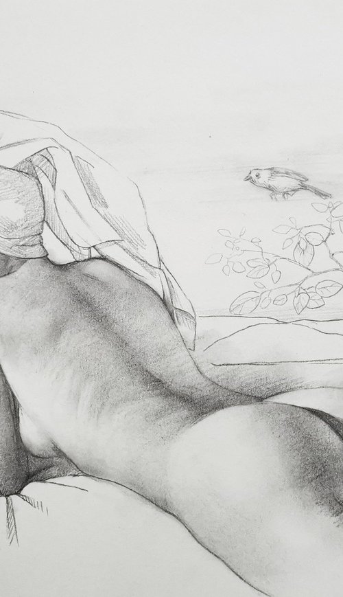 Birds and nude woman by Hongtao Huang