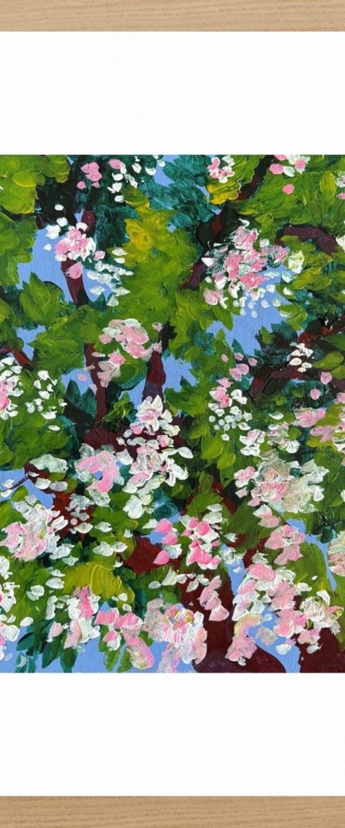 The Spring by Gela MIKAVA