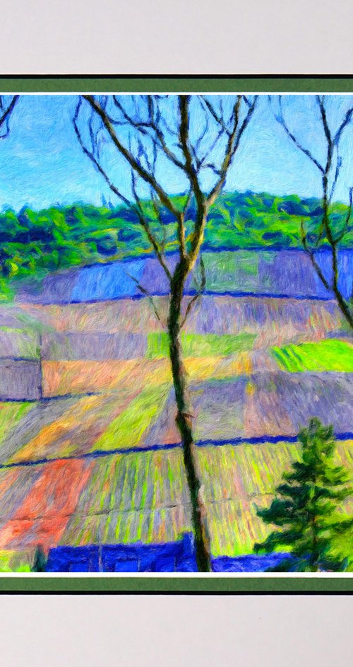 Vineyards Impressionist by Robin Clarke