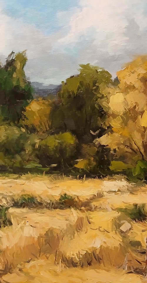 Golden Pasture by Davit Arstamyan