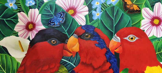 Parrot Paradise