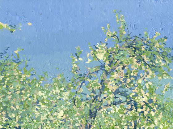 Apple trees in bloom. Kolomenskoye