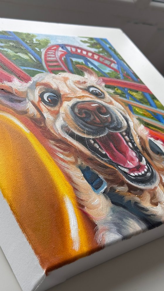 No Brakes | Dog on Rollercoaster