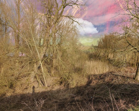 Magical Nature Opus 88