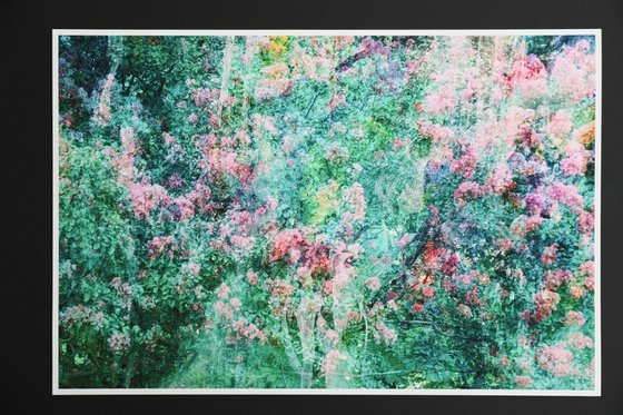 Gentle spring