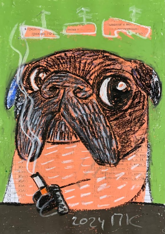 Smoking pug #9