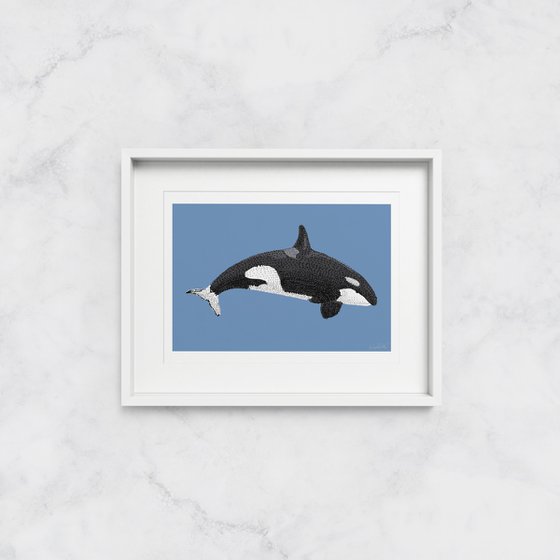 Killer whale - Stippling Illustration