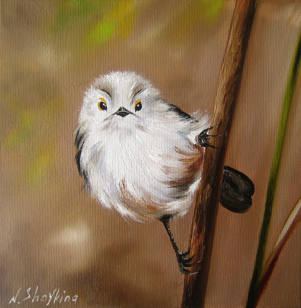 Photorealistic Oil Painting , Fluffy White Bird On Branch By Natalia Shaykina, 8 X 8, Artwork For Sale On Artfinder