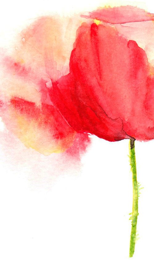 Poppy II by Anjana Cawdell