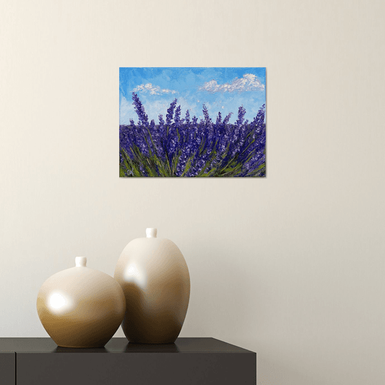 Lavender field