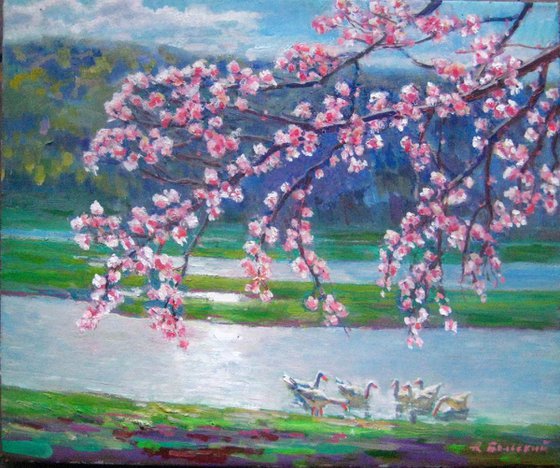 Spring blossom +persent (a little oil painting- Etude 7, 29x19cm)