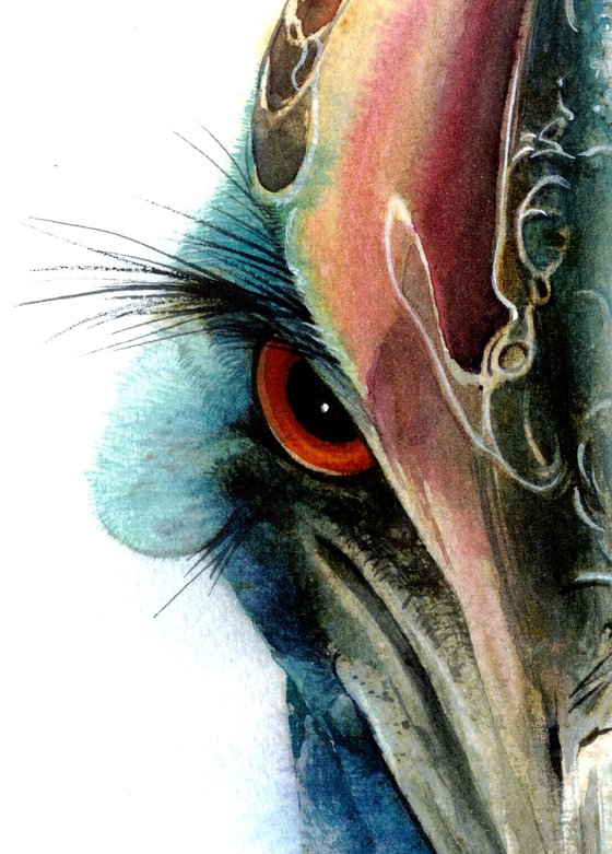 BIRD CCXXIV -  Portrait