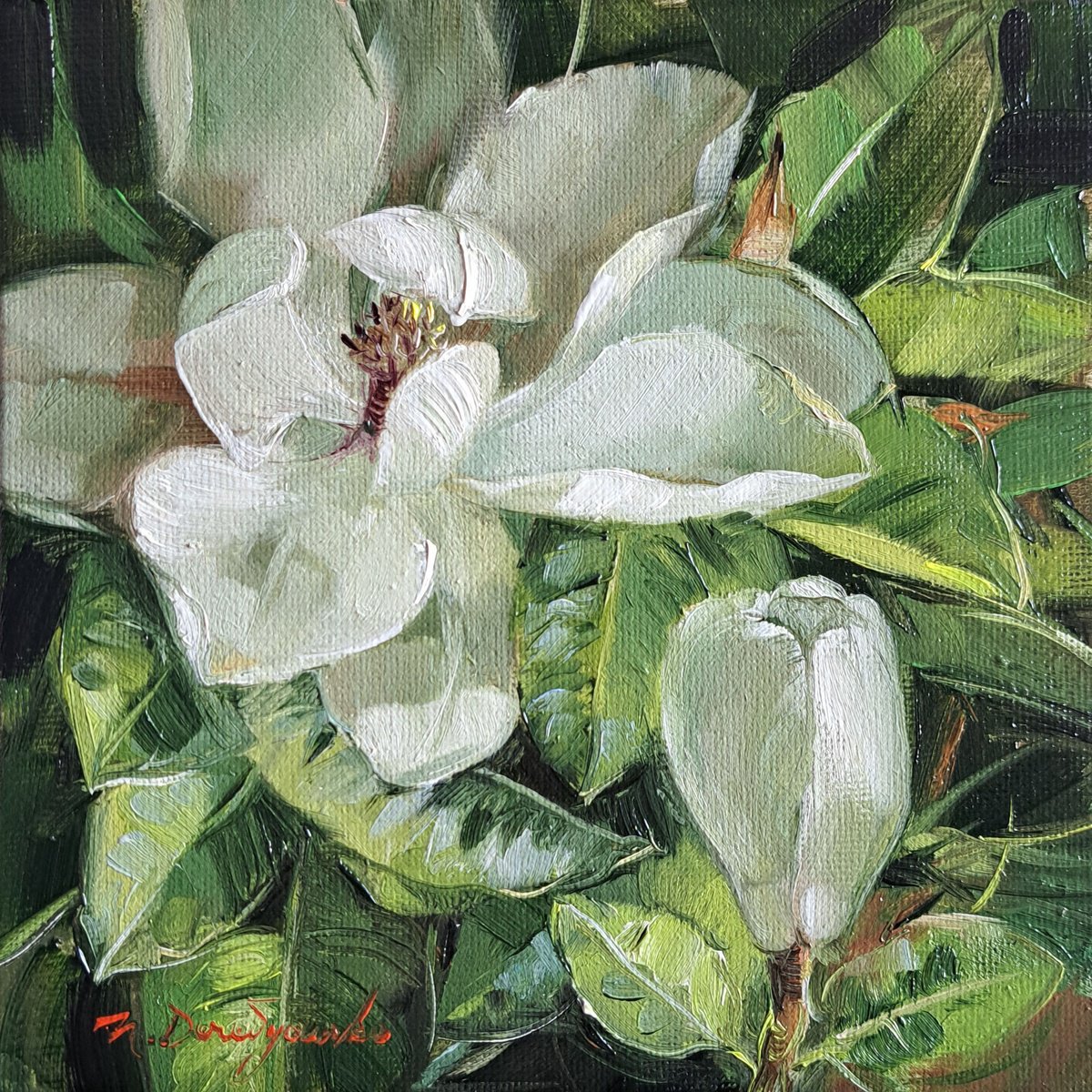 Magnolia Flower By Nataly Derevyanko, 7 X 7, Artwork For Sale On Artfinder
