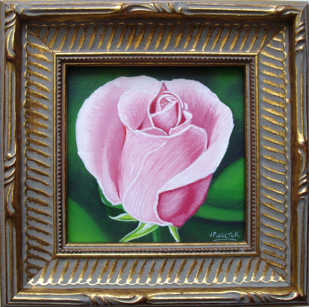 Pink rose by Jean-Pierre Walter