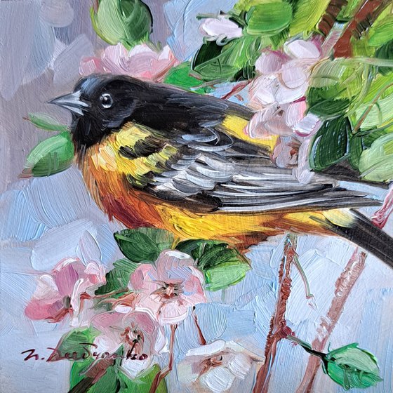 Audubon bird