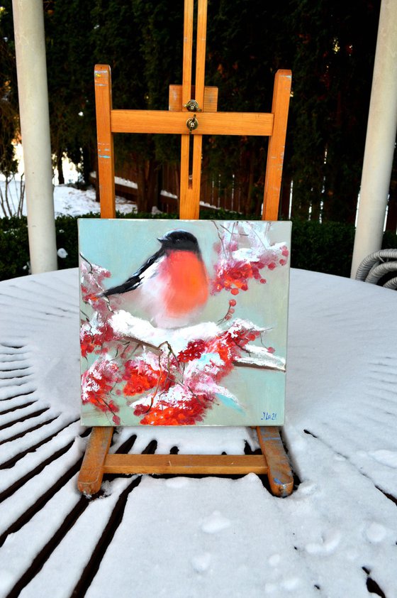 Bullfinch on a snowy rowan branch